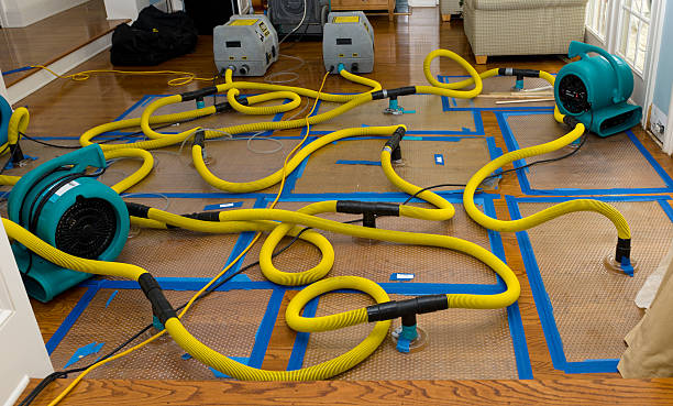 Professional Sewage Cleanup technician working in Washingtonville, OH